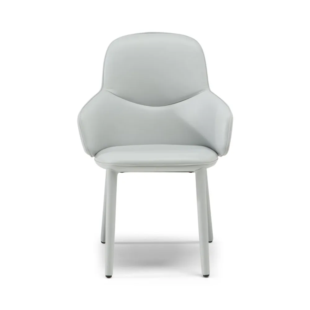 Natuzzi Ruokapöydän Tuolit<Edgar-käsinojatuoli